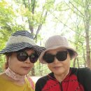 오금공원 아주좋아~ 이미지
