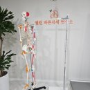 바른자세스트레칭 | 엘린바른자세연구소 천안 거북목 교정 천안 바른자세 천안 체형교정 후기