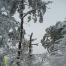 국립공원 - 경북 경주의 남산(468m) 이미지