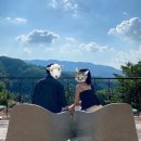 [원주숙소] 산속 흙집 ‘여토산방’ / 원주 감성숙소,힐링숙소 추천