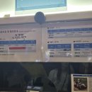 알펜시아 용우동