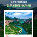 신세계여행사 이미지