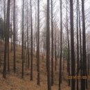 중앙초등길 이미지