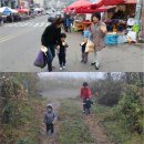 차성규농장 네이버블로그