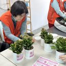 월곡2동주민센터 이미지