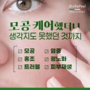 필바이오 이미지