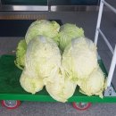 파리바게뜨판암점 이미지