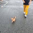비에이치씨신안증도점 네이버블로그