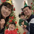 백합반 송다은 가족 크리스마스🎄 이미지
