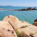 야생화 민박 이미지