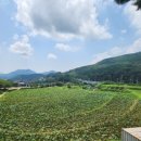 곰내추어탕 이미지