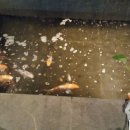 북경동인당한의원 이미지