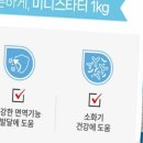 펫웨이브 동물의료센터 이미지