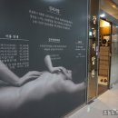 영지압원 이미지