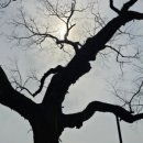 카페힐민박 이미지