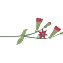 청주중학교 이미지