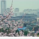 팔달공원