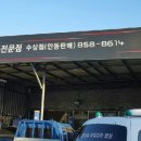 금호타이어안동