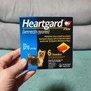 해동가축병원 이미지