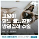 신탄진 동물병원 이미지