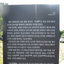 태안타일랜드 | 2605 태안 2일: 태국사