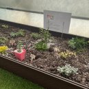 파파하우스 이미지