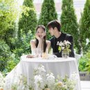 비스튜디오 이미지