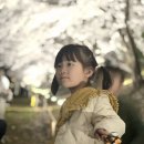 씨유천안원성제일점 | 천안 원성천 벚꽃축제 다녀왔는데... 사람 진짜 많습니다 (+주차 상황)