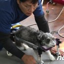 워크앤런 이미지