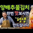 양배추 물 김치. 동치미보다 톡 쏘고 설날 물김치보다 맛 있습니다. 전 요즘 아침을 물김치로 시작합니다.. 준티비 양배추 물김치, JU 이미지