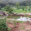 못골농장 이미지