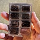 커피사탕 | 코피코 커피맛사탕 후기와 할인정보 KOPIKO coffee Candy