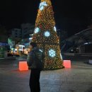 민벨라아트 | Dec.