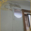 효창동 사무실철거? 내가 봤다니까