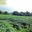 제주아일랜드공인중개사사무소 이미지