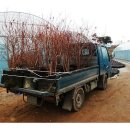 김길중 농장 이미지