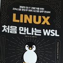 LINUX 처음 만나는 WSL 이미지