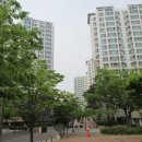 행정동로 이미지