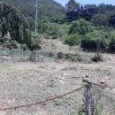 대행농장 이미지