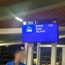 킴스캐빈 | 보홀 마지막날 저녁일정 :: 타이거 마사지, 오리지날 펭스, 맥도날드, 팡라오 공항 팁