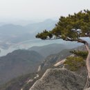 금수산식당 이미지