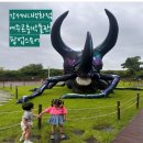킴스안경클럽 | 강서 NC백화점 여주곤충박물관 팝업스토어 후기 (5살,4살 아이들과)