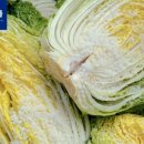 풍월농장 이미지