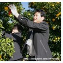 고향축산물판매점