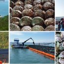 으뜸전복수산 이미지