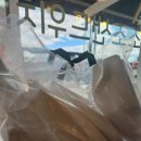 강남키즈랜드어린이집 이미지