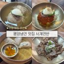 1381 | 수원 영통 평양냉면 맛집 추천 내돈내산 n회차 사계면반