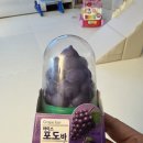 세븐일레븐 울산줌파크점 | 세븐일레븐 아이스크림 아이스 포도바 후기