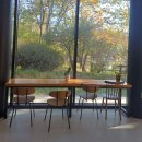 (주)오산환경 | 수도권 단풍놀이 오산 물향기수목원 가을풍경