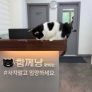 함께냥 평택점 이미지